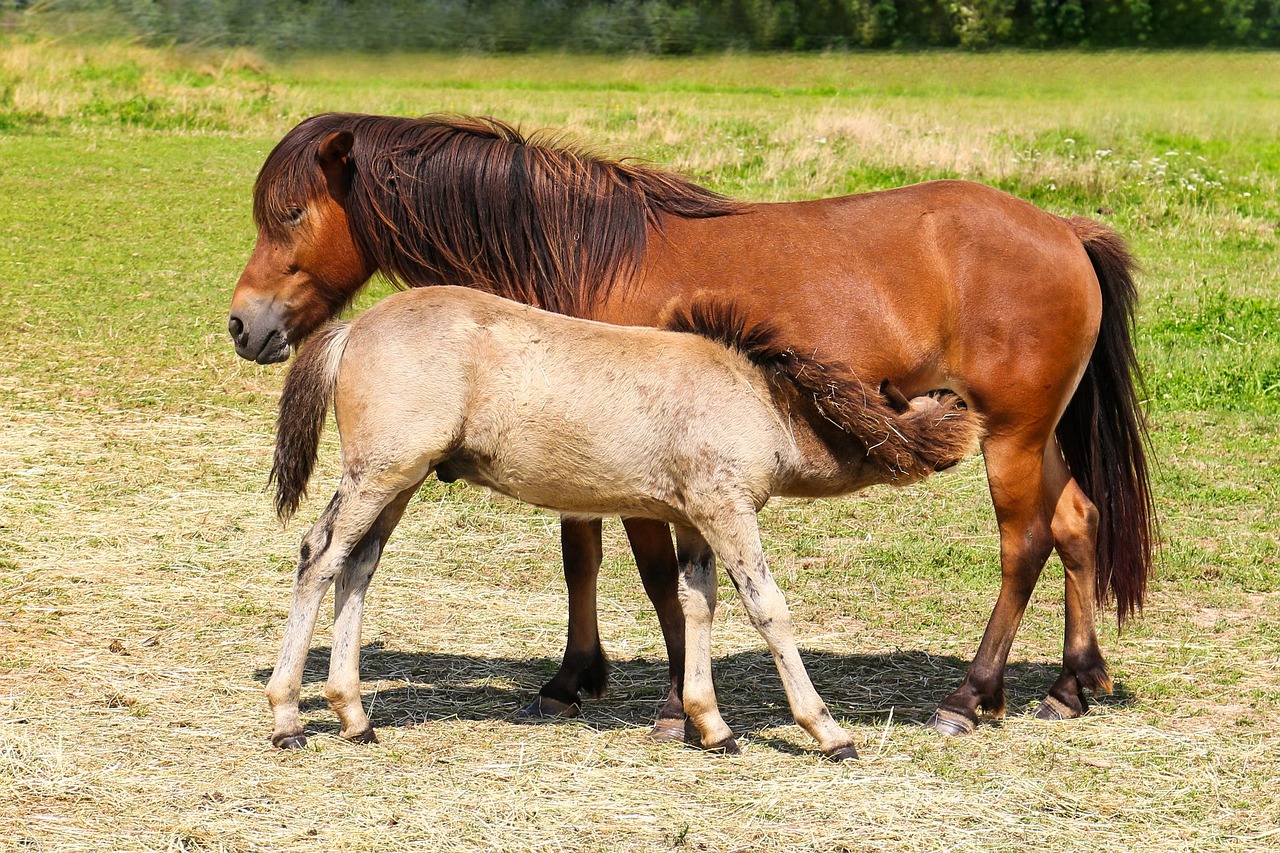 看護師が育児を理由に退職する場合の対処法は？